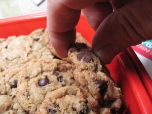 Chocolate Chips with Toffee