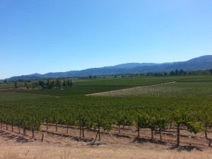 Napa Valley, CA