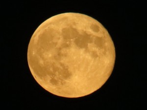Harvest Moon Rise