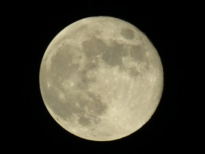 Harvest Moon