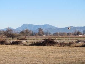 Santa Rosa