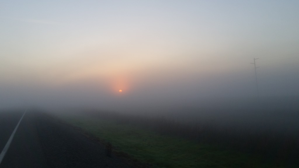 A little chilly, a whole lot beautiful sunrise ride between Davis and Woodland.
