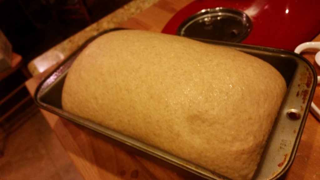 031316 WW bread (2)