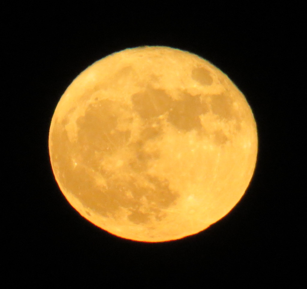 Super Moon over Dixon, November 14, 2016