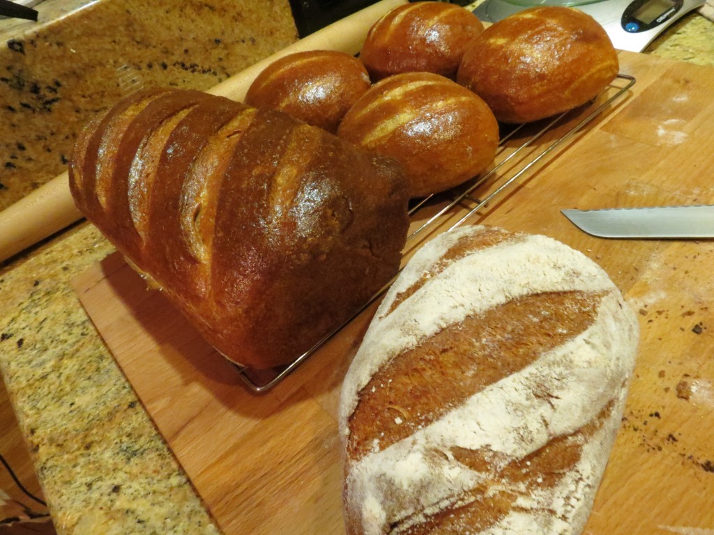 Cycling Foodie » Blog Archive » Whole Wheat, Rye, & Oat Bran Bread